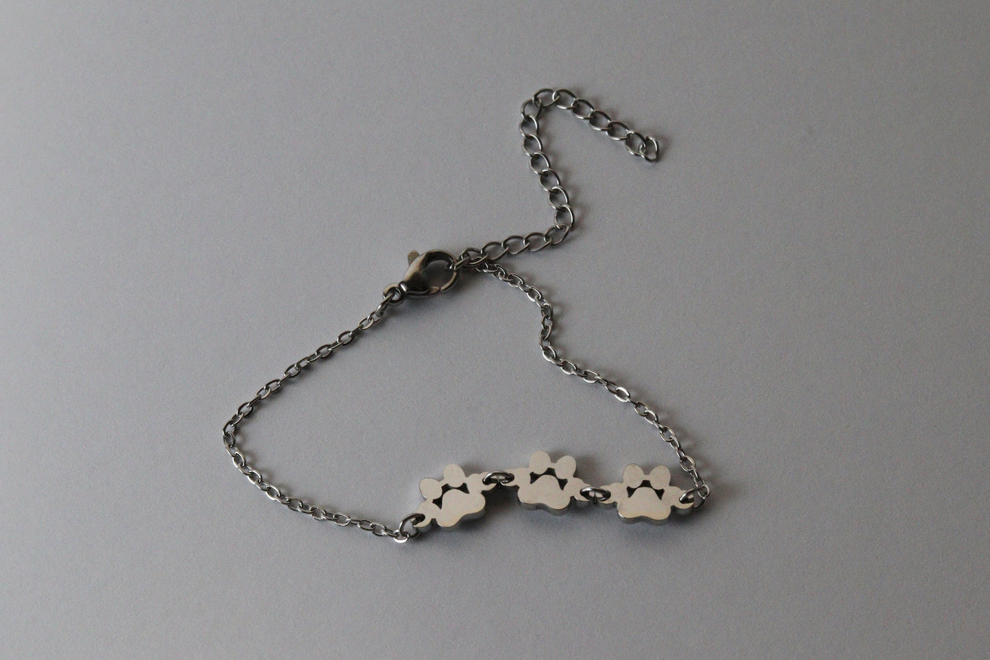 PawPromise™ Stainless Steel Bracelet